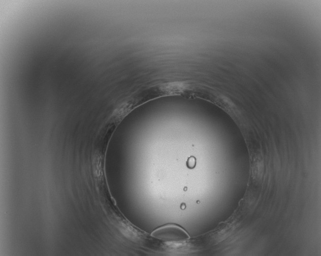 X0000060240477200511041302