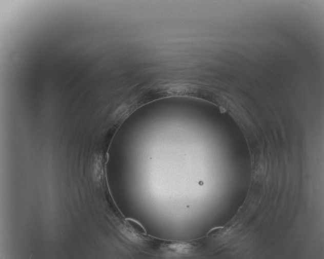 X0000060240478200511041302