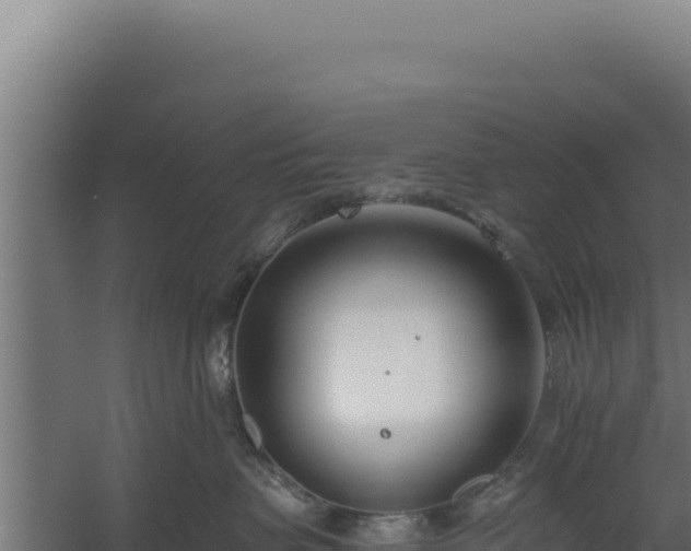 X0000060240479200511041302