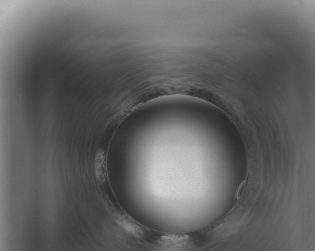 X0000060240480200511041302