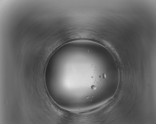 X0000060240481200511041301