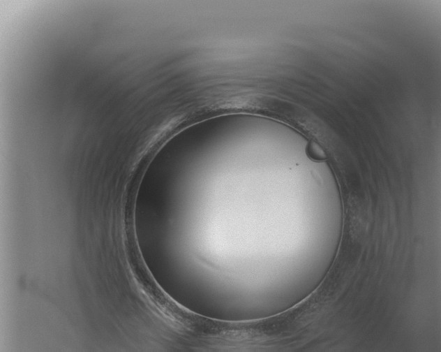 X0000060240482200511041301