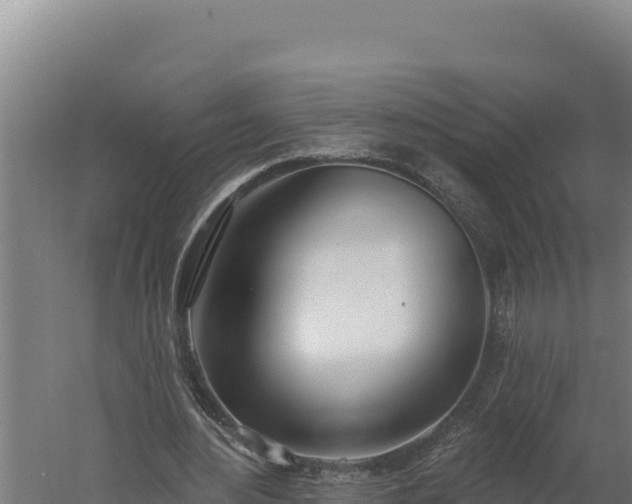 X0000060240484200511041301