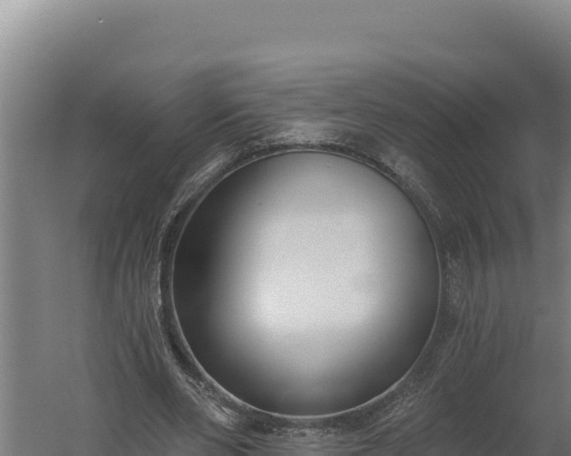 X0000060240486200511041301