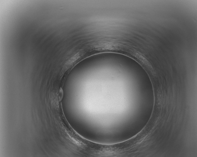 X0000060240489200511041301