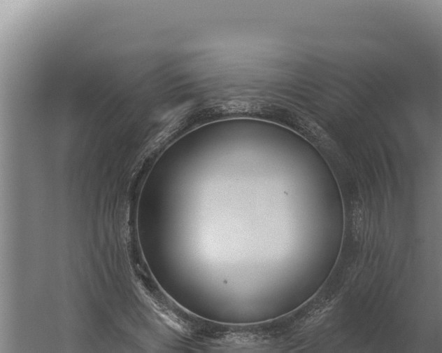 X0000060240490200511041301