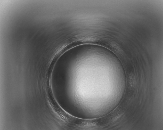 X0000060240491200511041301