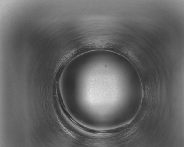 X0000060240493200511041301