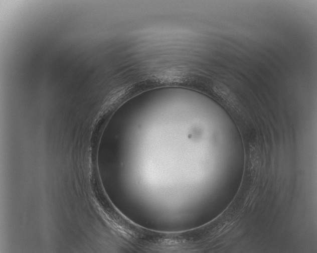 X0000060240494200511041301