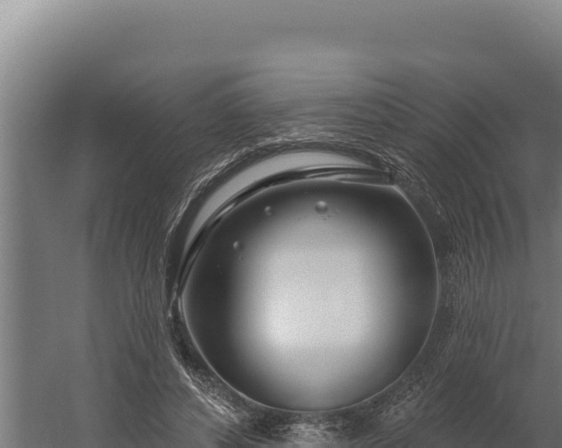 X0000060240496200511041301