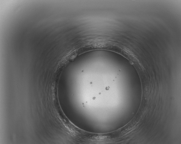 X0000060240497200511041301