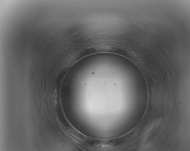 X0000060240498200511041301