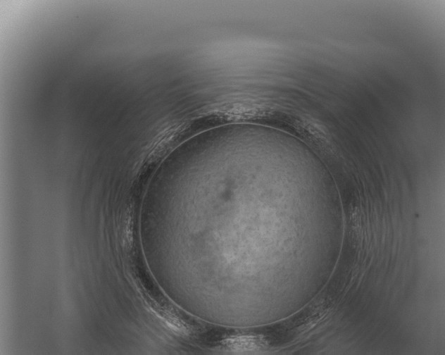 X0000060240499200511041301