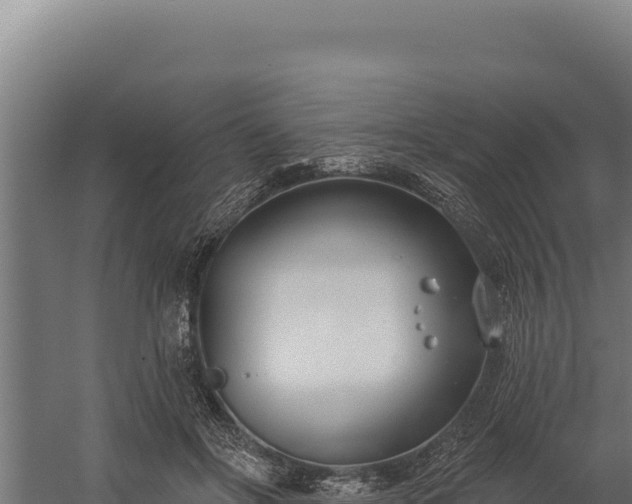 X0000060240502200511041300