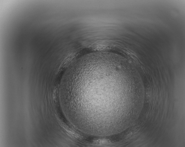 X0000060240503200511041300