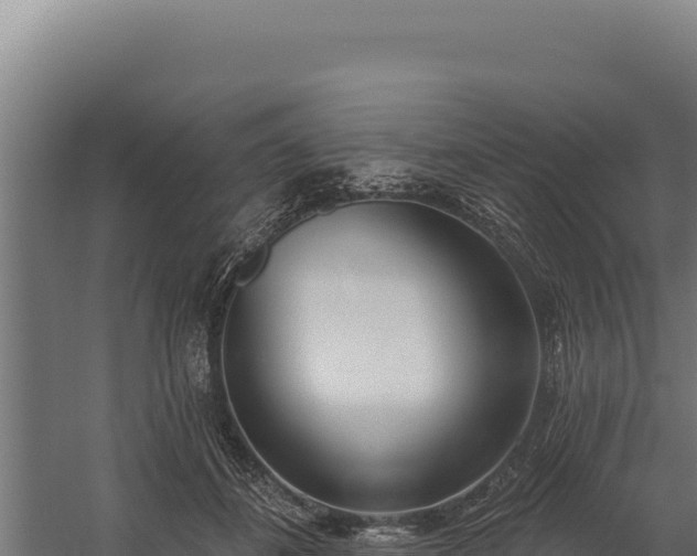 X0000060240508200511041300