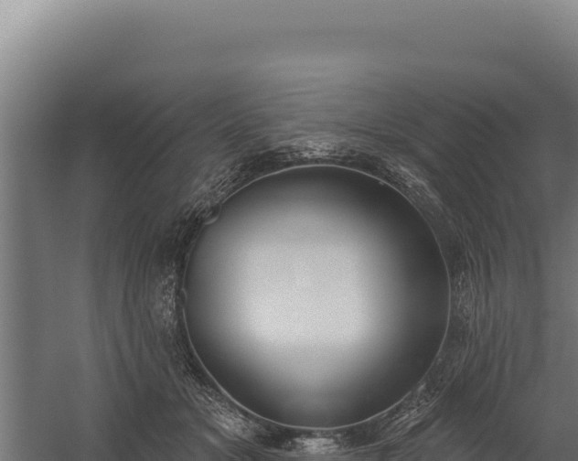 X0000060240509200511041300