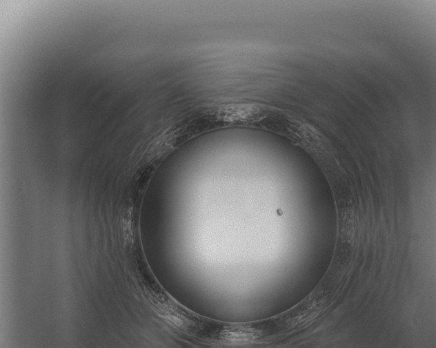 X0000060240510200511041300