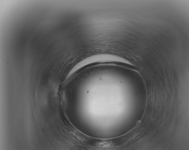 X0000060240511200511041300