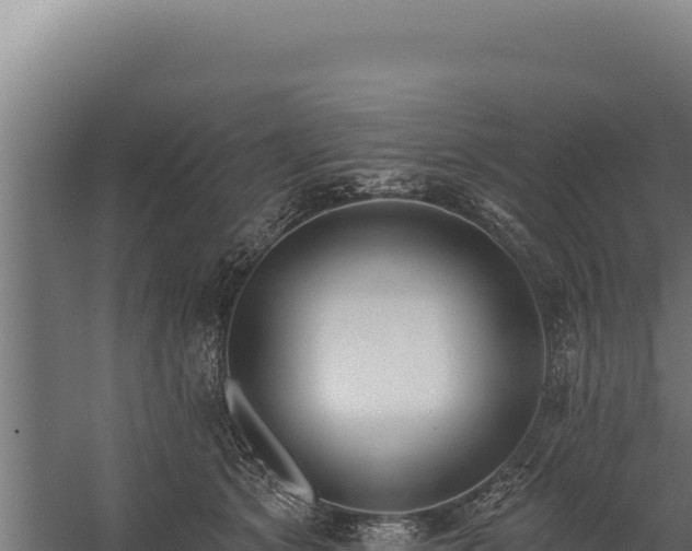 X0000060240513200511041300