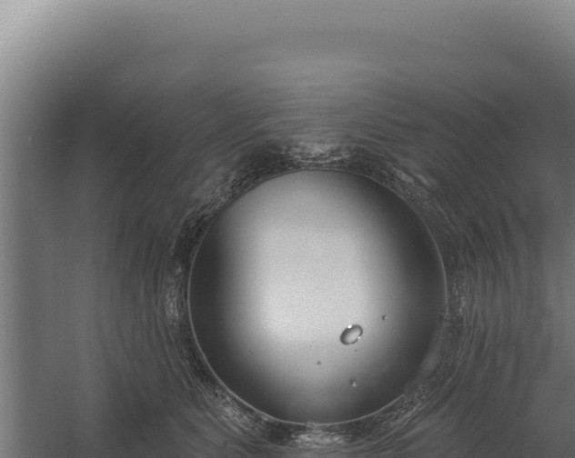 X0000060240515200511041300