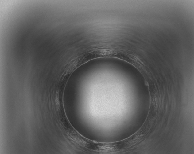 X0000060240516200511041300