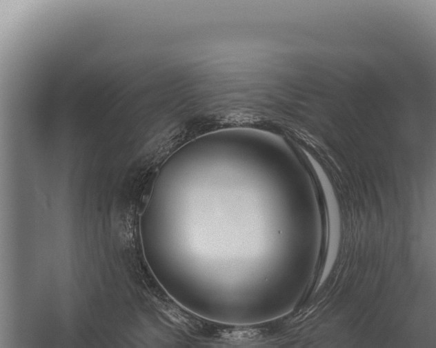 X0000060240517200511041300