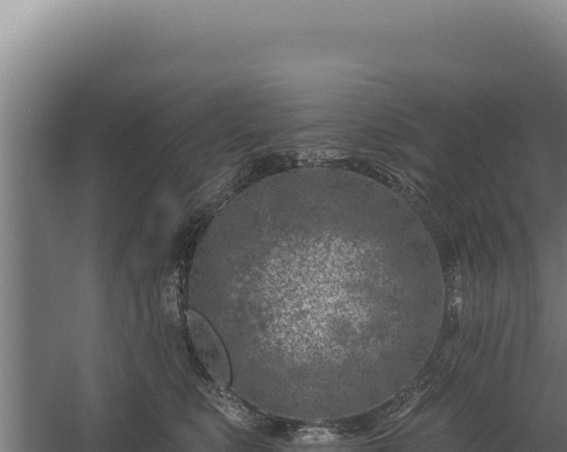 X0000060240519200511041300