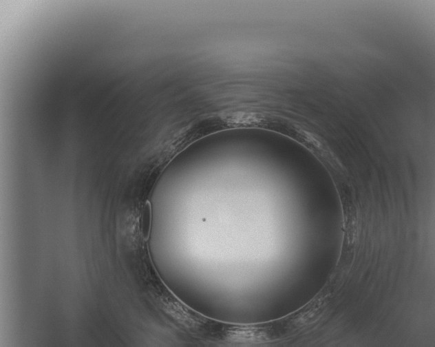 X0000060240521200511041300