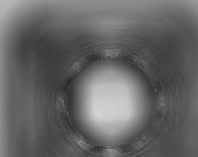 X0000060240522200511041300