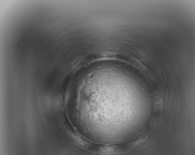 X0000060240523200511041300