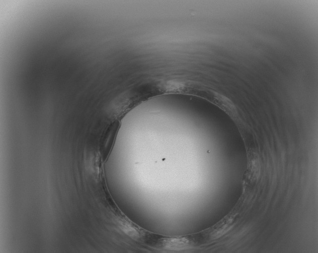 X0000060240525200511041300