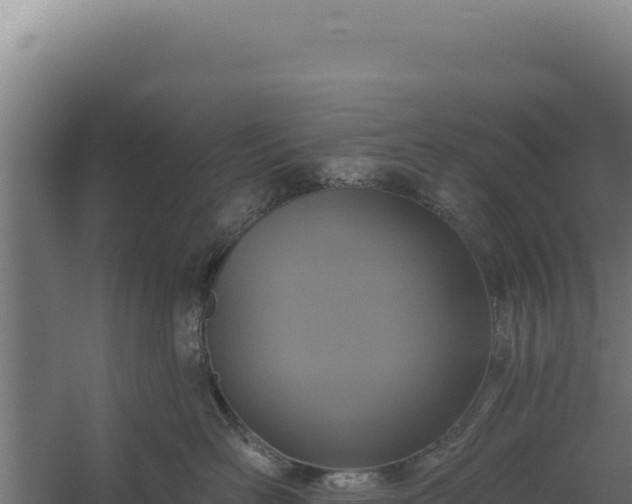 X0000060240526200511041300