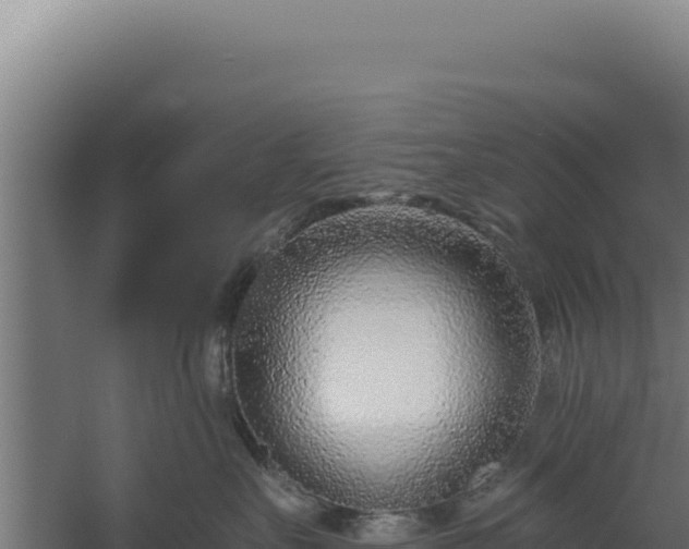 X0000060240527200511041300