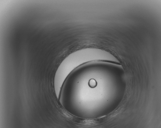 X0000060240528200511041300