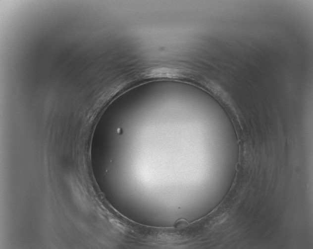 X0000060240529200511041259