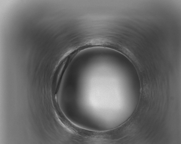 X0000060240530200511041259