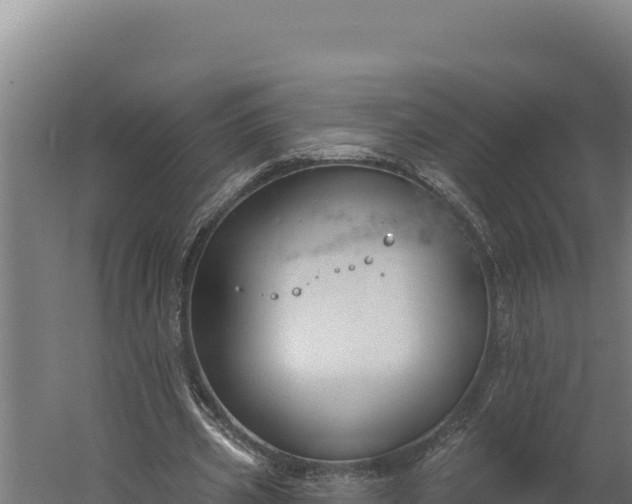 X0000060240533200511041259