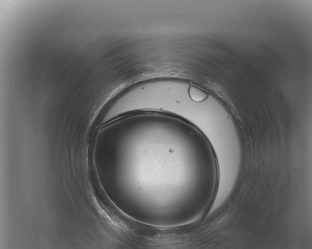 X0000060240534200511041259