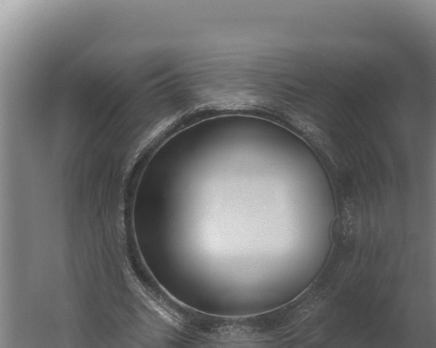 X0000060240535200511041259