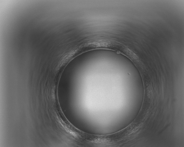 X0000060240537200511041259