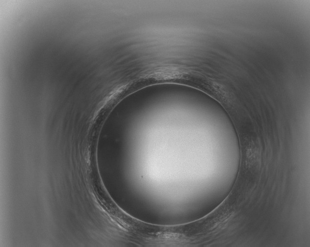 X0000060240539200511041259