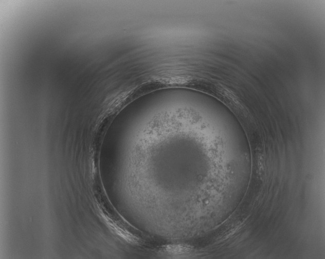 X0000060240541200511041259