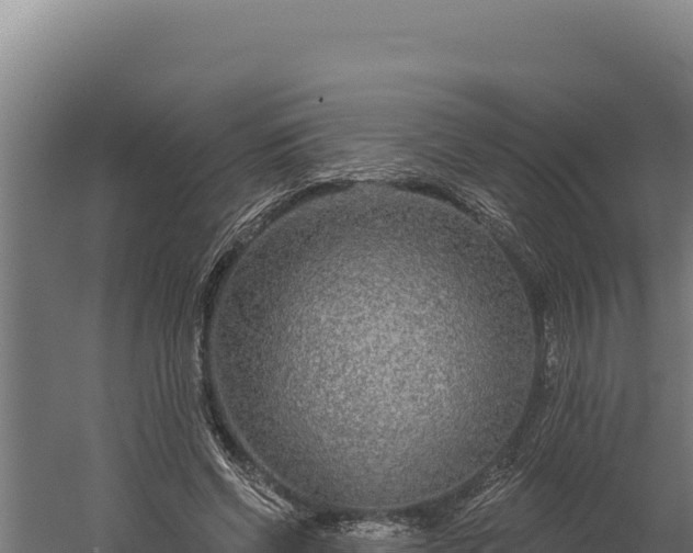 X0000060240542200511041259