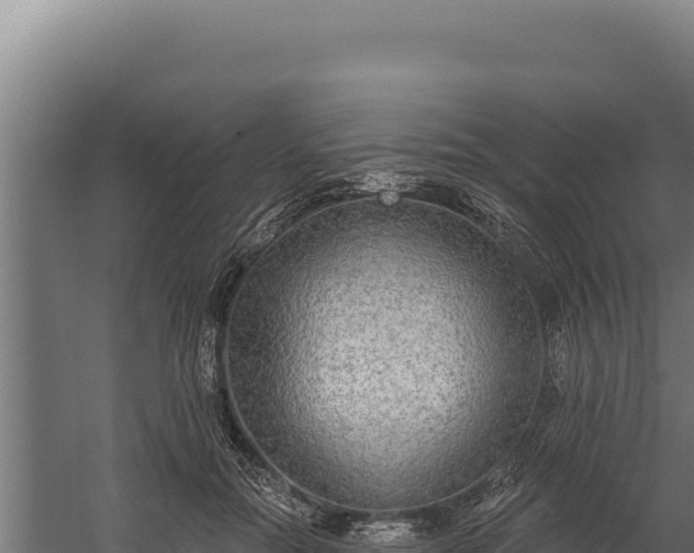 X0000060240554200511041300