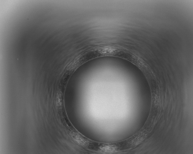 X0000060240561200511041300