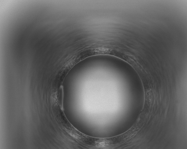 X0000060240564200511041300