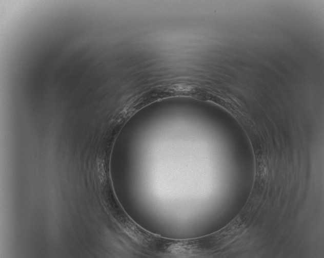 X0000060240568200511041300