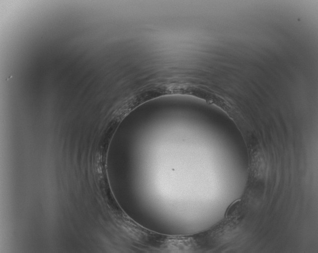 X0000060240571200511041300