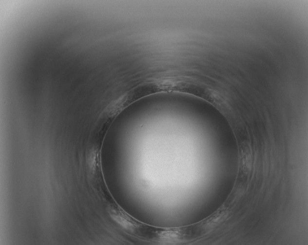 X0000060240574200511041300